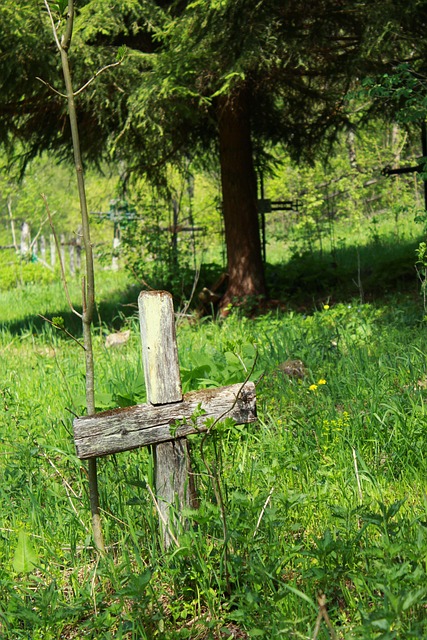 România, Natura, Transilvania, Munte