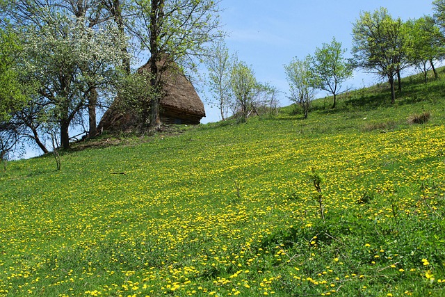 România, Natura, Transilvania, Munte