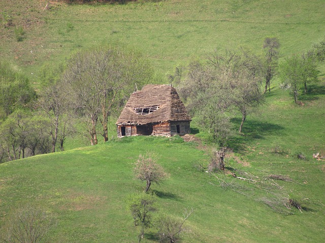 România, Natura, Transilvania, Munte