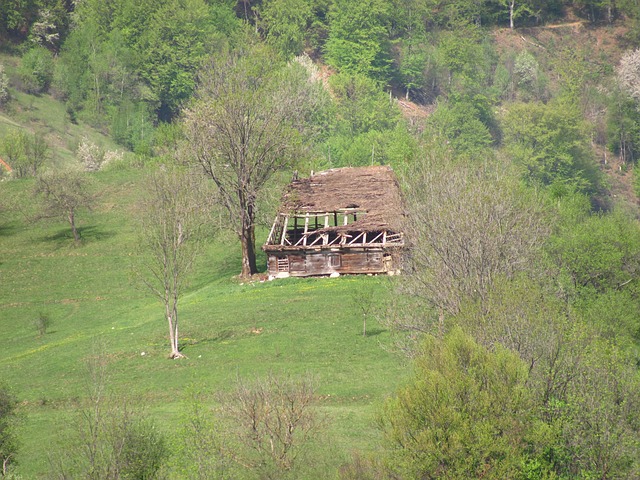 România, Natura, Transilvania, Munte