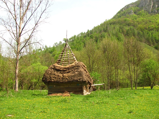 România, Natura, Transilvania, Munte