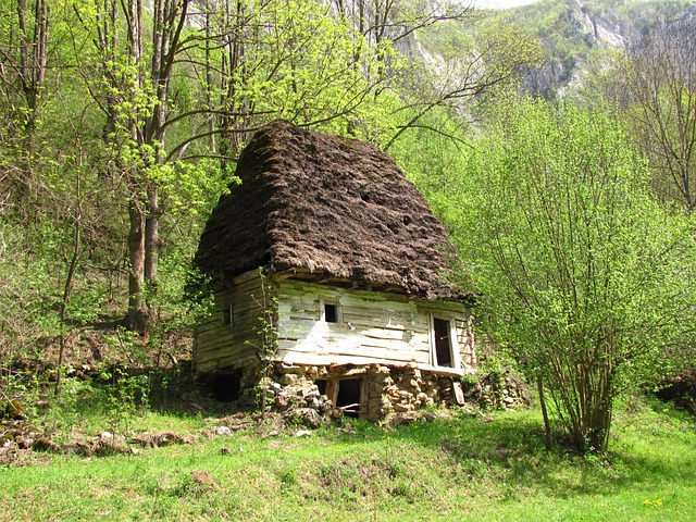 România, Natura, Transilvania, Munte