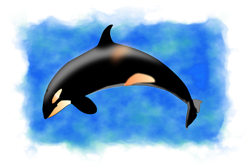 Dolfijn, De Oceaan