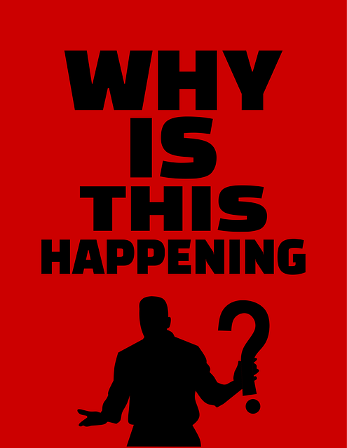 Free Why Report vector and picture