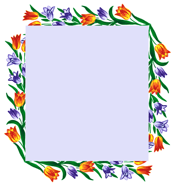 Free tulip tulips spring flower vector