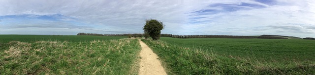 Free Uk Britain photo and picture