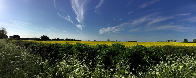 Free Countryside Wiltshire photo and picture