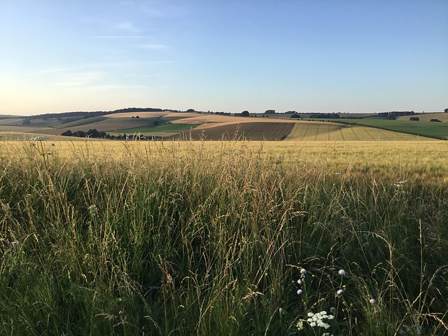 Free Countryside Wiltshire photo and picture