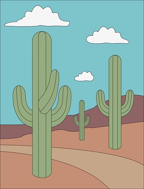 Kaktus, Ørken, Planter, Natur, Mexico
