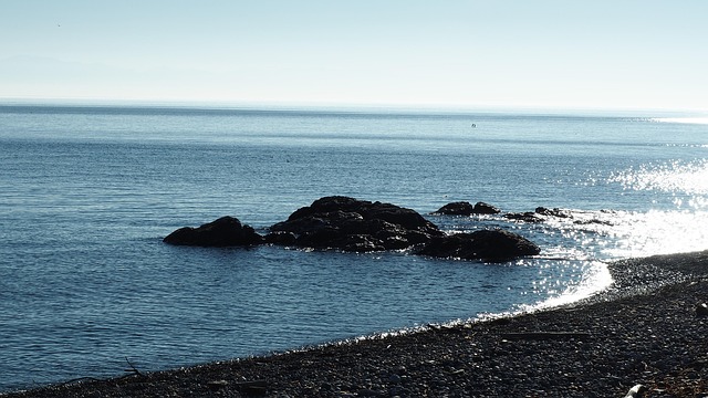 Rev, Klippe, Salish Hav, Hav, Kyst, Vand