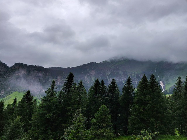 India, Bangladesh, Natura, Dealuri