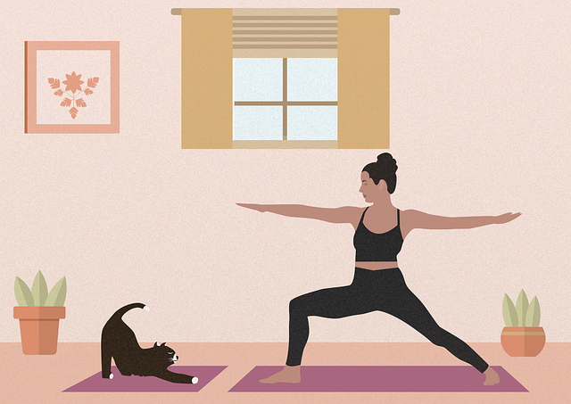 Free yoga cat animal illustration