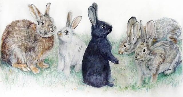 Free rabbits easter bunny illustration