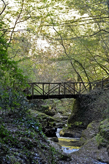 Free Caramanico Italy photo and picture