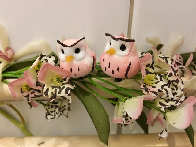 Free Get Well Soon photo and picture