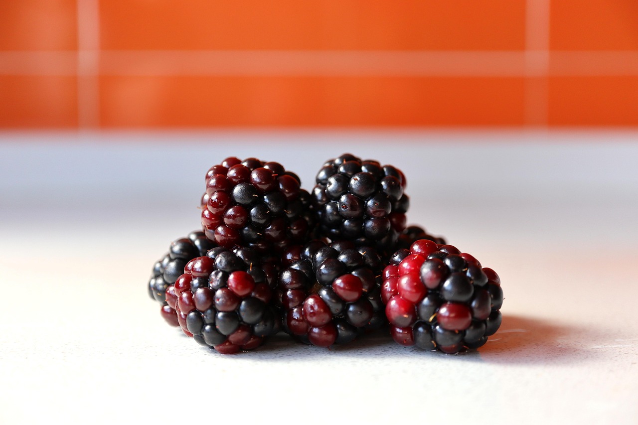 Blackberries Berries Fruits Free photo on Pixabay Pixabay