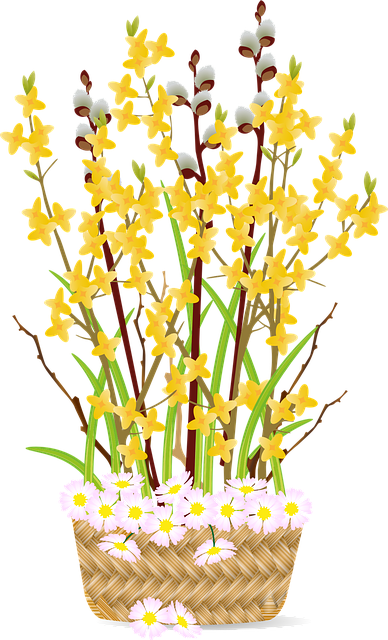 Free flowers catkin petals vector