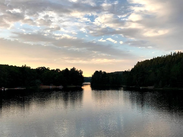 Muskoka, Lengua De Buey, Ontario