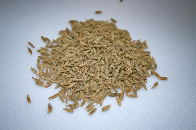 Free Cumin White Cumin photo and picture