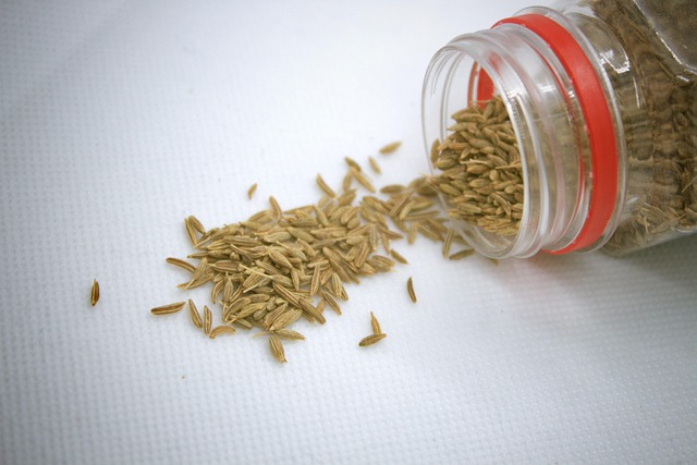 Free Cumin White Cumin photo and picture