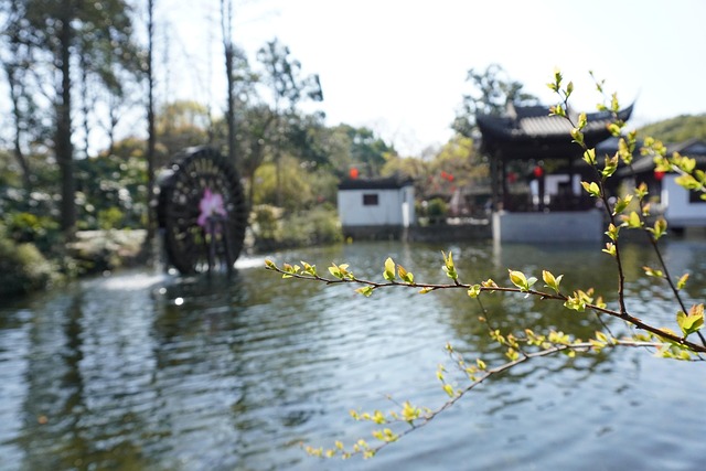 Free Water Lacke photo and picture
