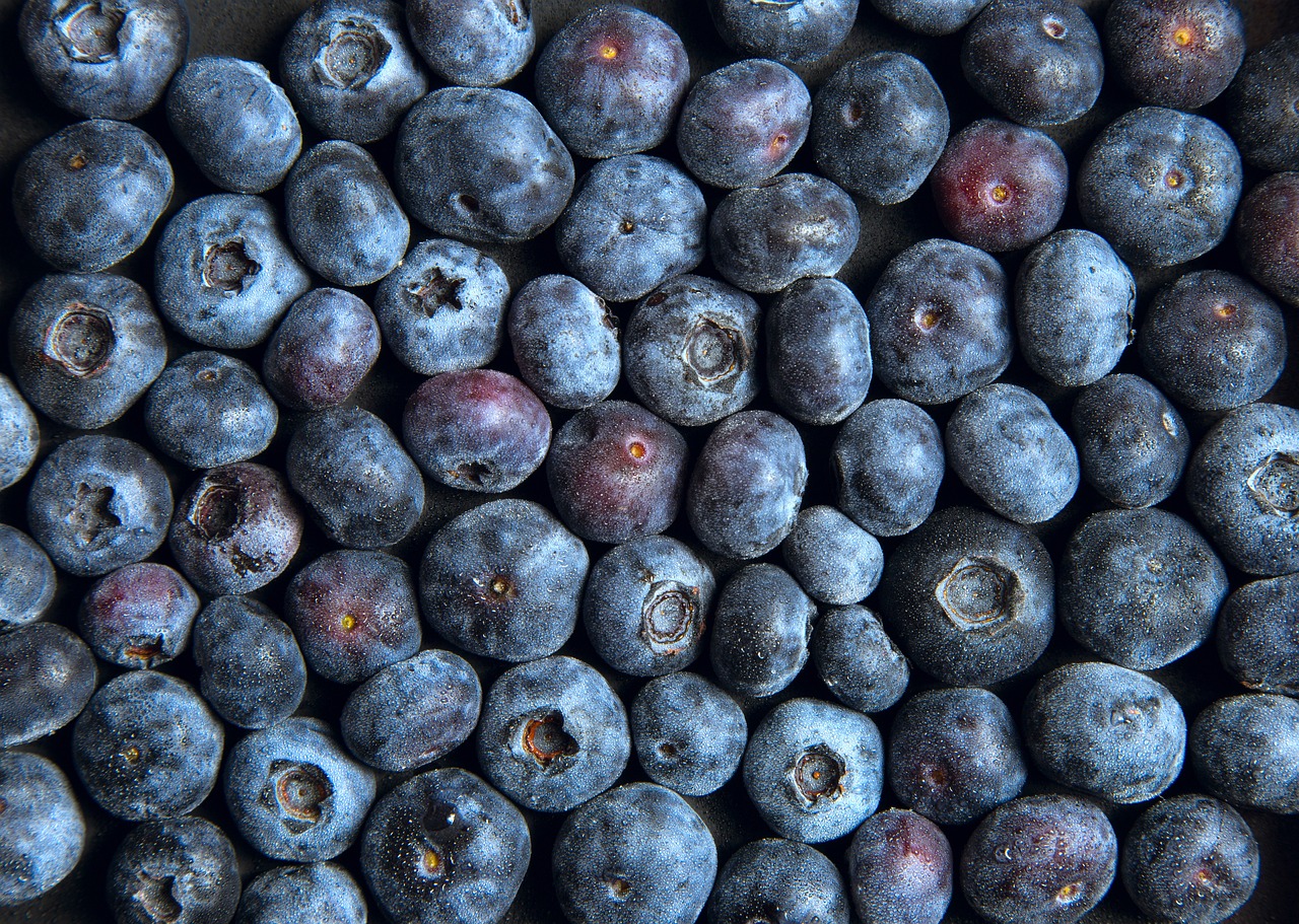 Blueberries Fruits Produce Free photo on Pixabay Pixabay