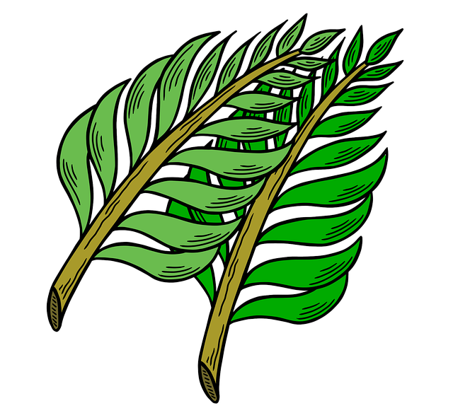Free easter palm leaves christianity illustration