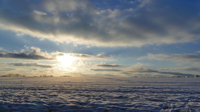Free Sunset Field photo and picture