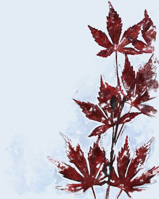 Free maple leaves photo art illustration