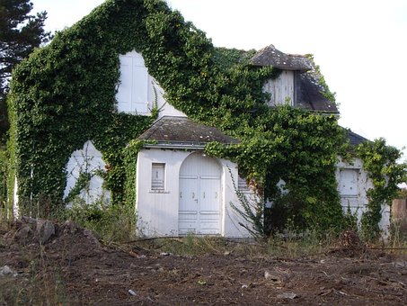 Natur, Hus, Forladte