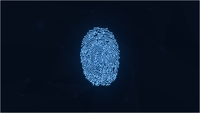 Fingerabdruck, Digital, Cybersecurity