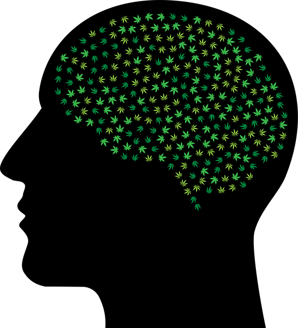 Free man brain head vector
