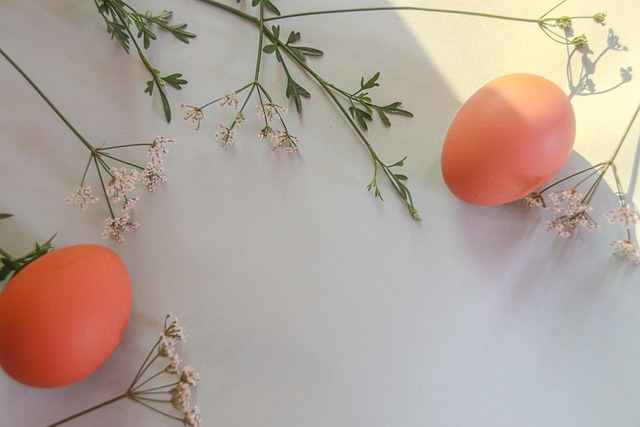 Free Spring Delicate Flowers photo and picture
