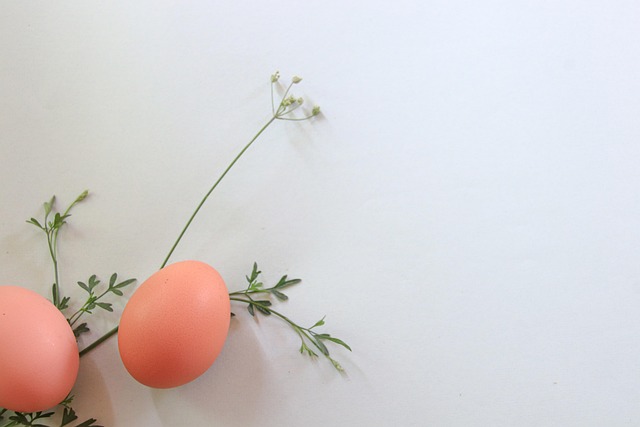 Free Spring Delicate Flowers photo and picture