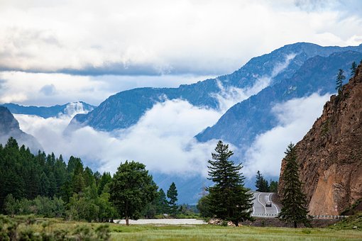Free Road Fog photo and picture