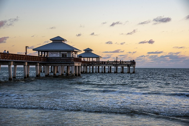 Free Beach Pier photo and picture