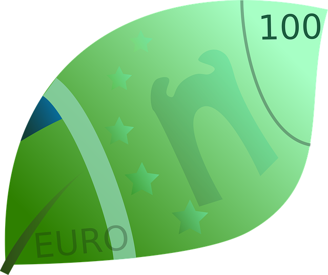 Free Money Euro vector and picture