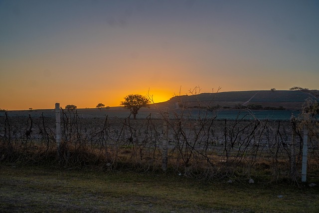 Free Atardecer Campo photo and picture