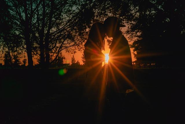 Free Silueta Sol photo and picture
