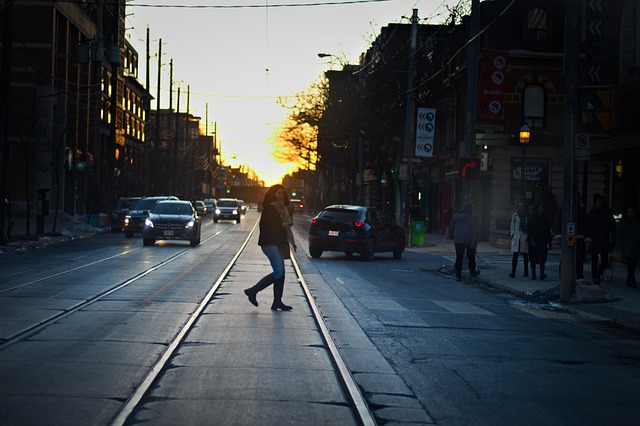 Free Walking Tracks photo and picture
