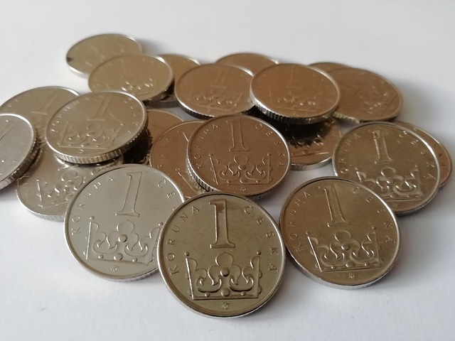 Free Crown Coin photo and picture