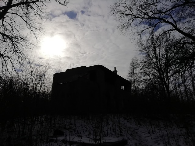 Free Winter Country photo and picture