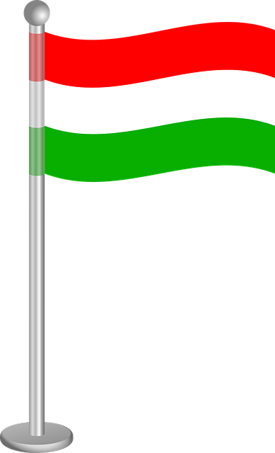 Free flag flagpole hungary vector