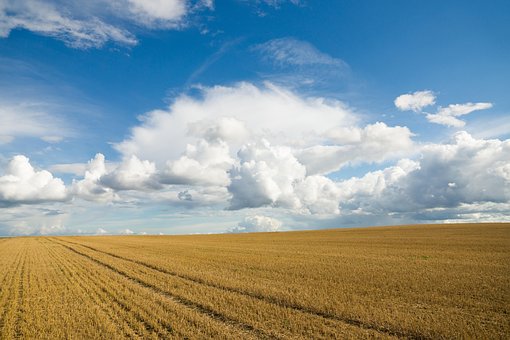 Free Background Of photo and picture