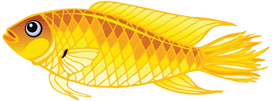 Free Fish Animal illustration and picture