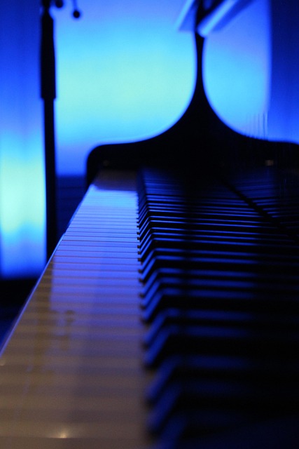 Free Piano Wing photo and picture