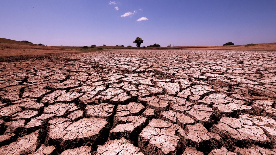 La Sécheresse Fissures Sol - Photo gratuite sur Pixabay