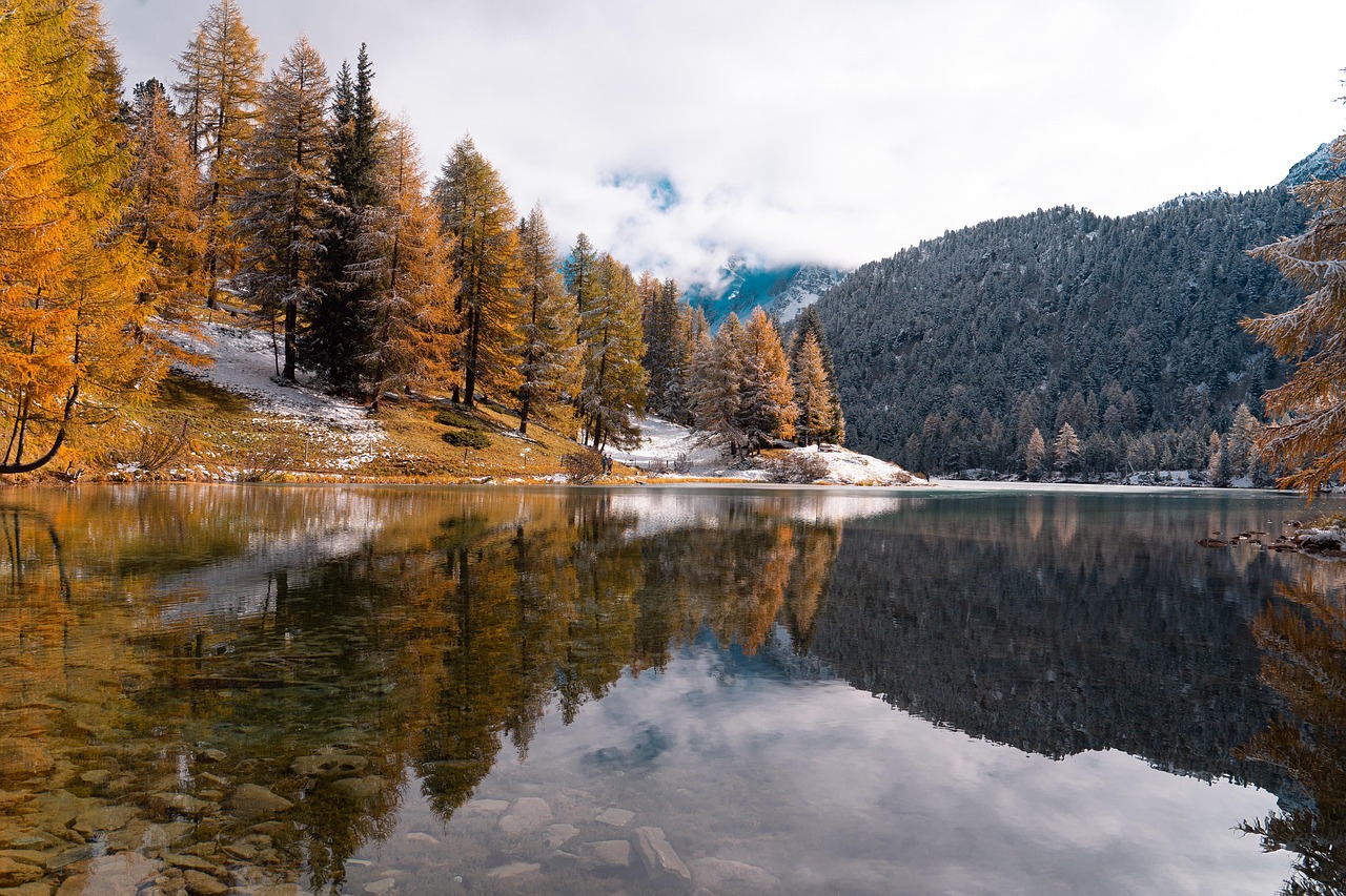 Lake - free online jigsaw puzzle photo