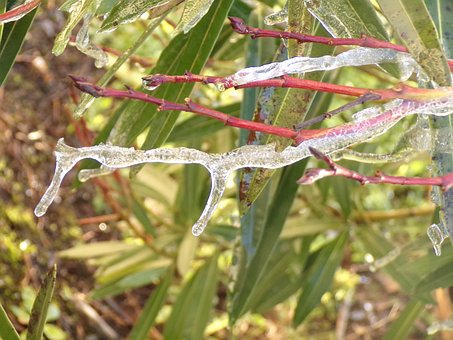 Free Ice Melting photo and picture