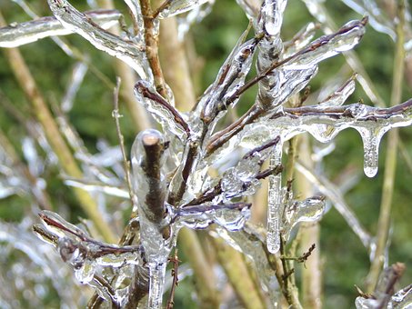 Free Ice Winter photo and picture